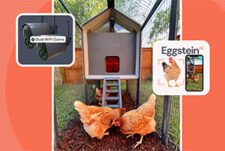 Win a Smart Coop Chicken Coop from Ellen