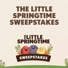 Win $1,000 in Groceries from Little Potato