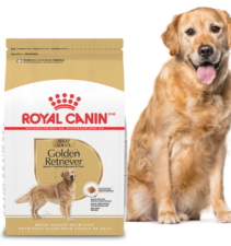 Apply to Try: Royal Canin Golden Retriever Chatterbox Pack