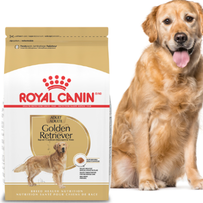 Apply to Try: Royal Canin Golden Retriever Chatterbox Pack