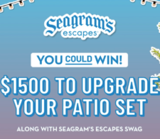 Win a $1,500 Visa Gift Card from Seagram's