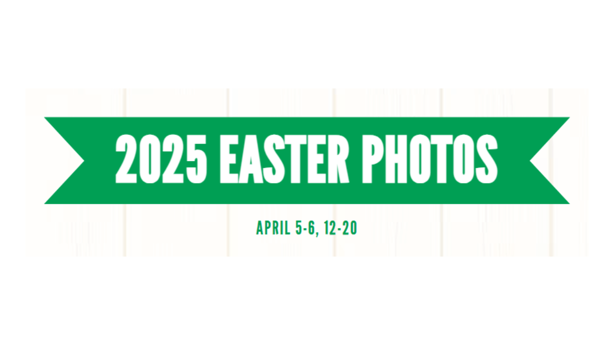 Free Stuff on T-Mobile Tuesdays (Updated Weekly) - Oh Yes It's Free