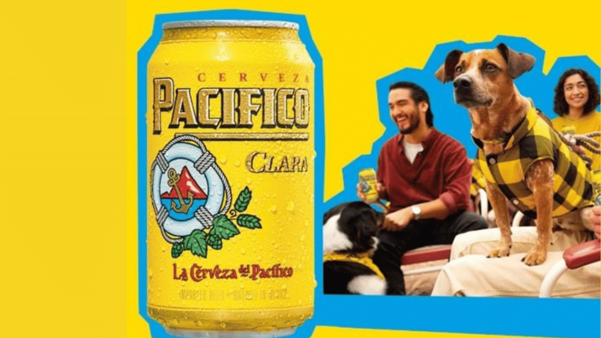 Win a Prize for You and Your Dog!