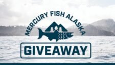Mercury Fish Alaska Giveaway: Win an Adventure!