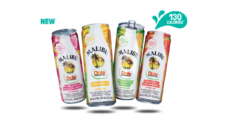 Win a Trip to Hawaii from Malibu